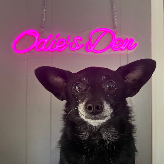 Custom Pet Neon Sign - Neonicks