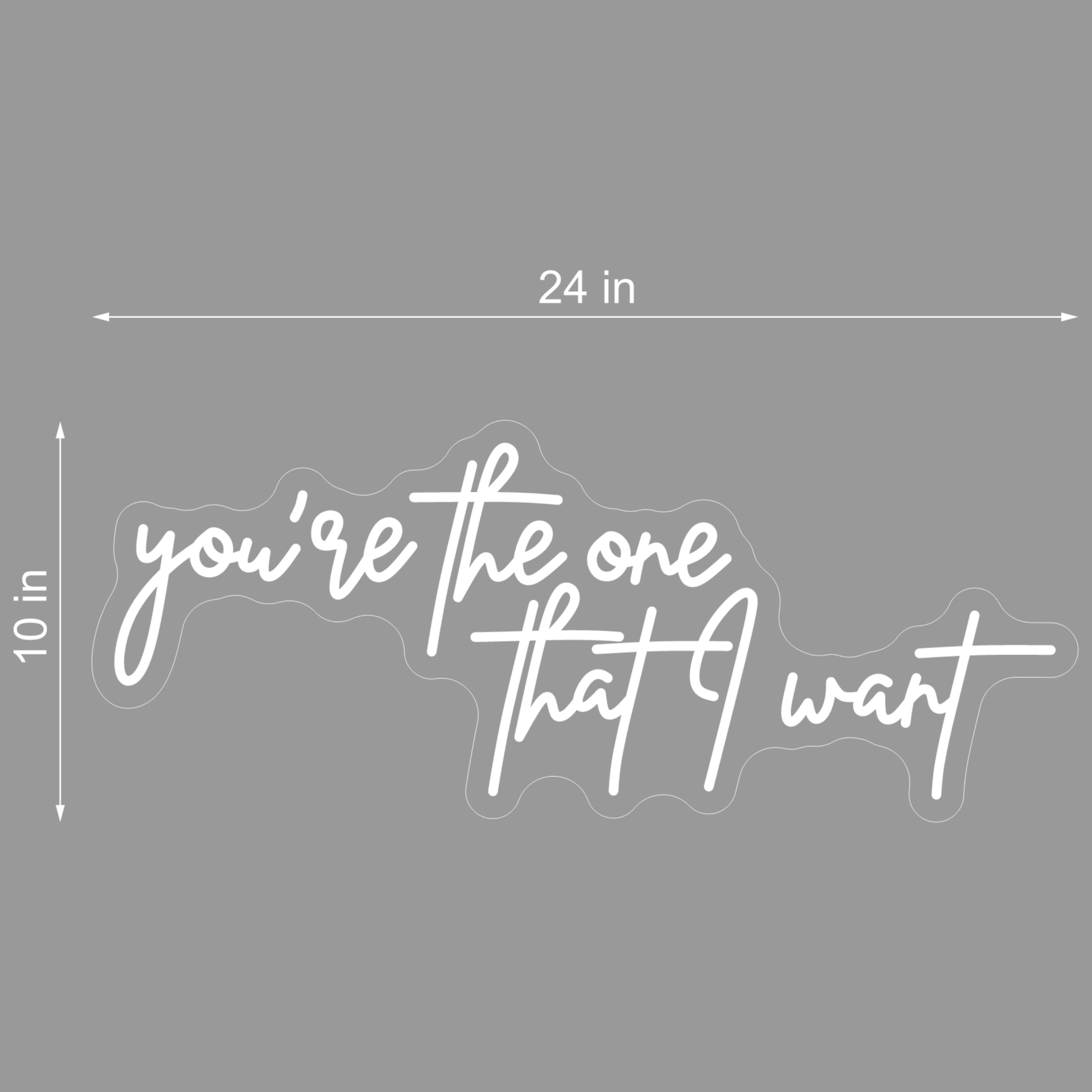 YOU'RE THE ONE THAT I WANT NEON SIGN - Neonicks